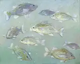 Francis Vandeveer Kughler, Fish, oil on masonite