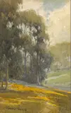 Percy Gray, Eucalyptus Trees and Poppies