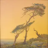 Ferdinand Burgdorff, Windblown Pines