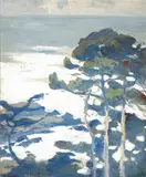 Mary DeNeale Morgan, Coastal Trees