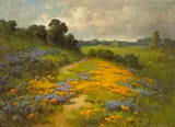 William Franklin Jackson, California Poppies, Sierra Foothills