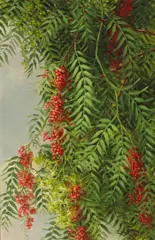 Ellen Burpee Farr, A Branch from a Pepper Tree, oil on canvas