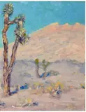 William Posey Silva, Joshua Tree, Mojave Desert (No. 346)
