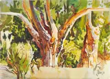 Milford Zornes, Cottonwoods at Mt. Carmel