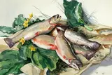 Aiden Lassell Ripley, Trout from Laurel Brook