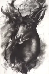 Larry Thomas, (American b.1943), charcoal on paper
