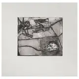 Francisco Toledo, Chapulines con calavera