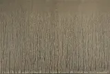 Richard Long, Ohne Titel (Aus: River Avon Mud Drawings), 1989, Farblithografie auf schwarzem Halbkarton