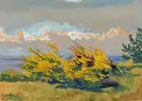 Elisabeth Büchsel, Blühende Ginsterbüsche im Wind auf Hiddensee, 1945, Aquarell, weiß gehöht auf Papier