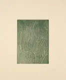 Franz Gertsch, Wellen (Detail aus 'Dominique'), 1994, Farbholzschnitt auf Japan