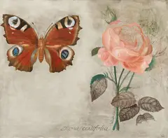 Jiří Anderle, "Rosa centifolia", 1990, Mischtechnik auf Leinwand