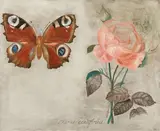 Jiří Anderle, "Rosa centifolia"
