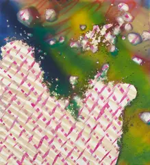 Katharina Grosse, Ohne Titel, 2009, Acryl und Erde auf Leinwand