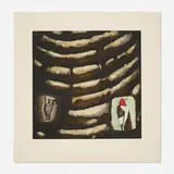 Christopher Brown, Sheet Music (from Pages from the Birder's Log), 1994, etching in colors