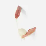 E.V. Day, Flirting with Fertility, 2004, resin, taxidermy model tongue, chicken egg