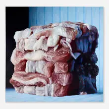 Cindy Wright, Baconcube 7, 2006, oil on canvas