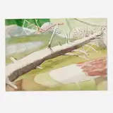 David Bungay, Untitled, 1980, watercolor on paper