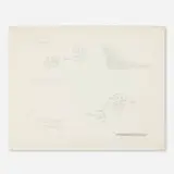 Ree Morton, Untitled, 1972, graphite on paper