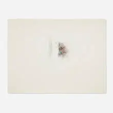 Alan Saret, Care's Pass Brought, 1984, colored pencil on Arches