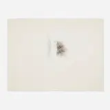 Alan Saret, Care's Pass Brought, 1984, colored pencil on Arches