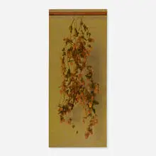 Gerardo Pita, Dried Hops, 1993, oil on wood panel