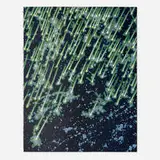 Barbara Takenaga, Falling (1115), 2016, lithograph with pearlescent powders on BFK Rives