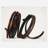 Bernar Venet, Two Indeterminate Lines
