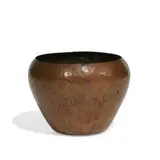Robert Jarvie, bowl