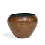 Robert Jarvie, bowl