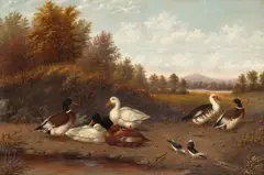 Howard L. Hill, A Raft of Ducks near a Pond, oil on canvas