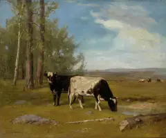 Albion Harris Bicknell, Cows Grazing in a Meadow, oil on canvas on board
