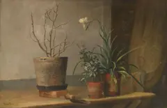 Douglas Arthur Teed, Windowsill with Potted Plants, 1888, oil on canvas