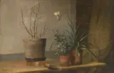Douglas Arthur Teed, Windowsill with Potted Plants, 1888, oil on canvas
