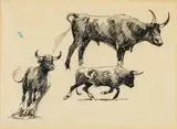 Edward Borein, Studies of Steers and Horses (a group of four)