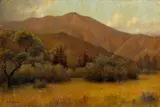 William Barr, Tamalpais with Ceaonothus, oil on canvas