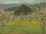 Theodore Wores, Prune Blossoms, Saratoga