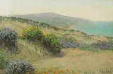 Theodore Wores, Wildflowers Along the Coast