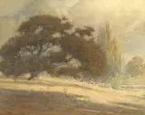 Percy Gray, A Grand Oak in Sunny Fields