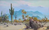 Gunnar Widforss, Cacti and Mountains