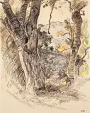 Clarence K. Hinkle, A View through the Trees