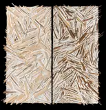 Charles Arnoldi, (American b. 1946), acrylic, modeling paste, tree branches