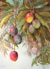 Joyce Clark, Maui Mangos, 1991, oil on canvas