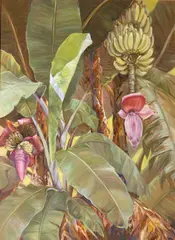 Joyce Clark, Banana Patch, 1991, oil on canvas