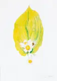 Joseph Stella, A Leaf with Flowers