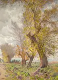 Gunnar Widforss, Cottonwood Trees (No. 202)