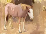 E. Irving Couse, Study of a Horse