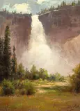 Charles Dorman Robinson, Waterfall