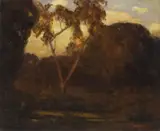 Giuseppe Cadenasso, Tree in the Twilight Glow