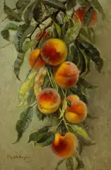 Elizabeth Jaynes Borglum, Peaches, oil on canvas on board