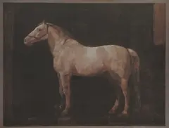 Mersad Berber, White Horse, 2004., offset print on paper